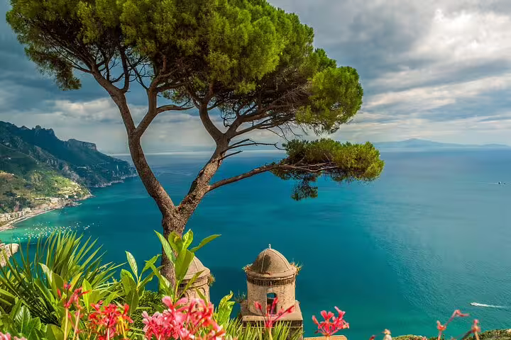 Panoramic Amalfi Coast viewpoint with pine tree and sea, highlight of a luxury private tour from Naples