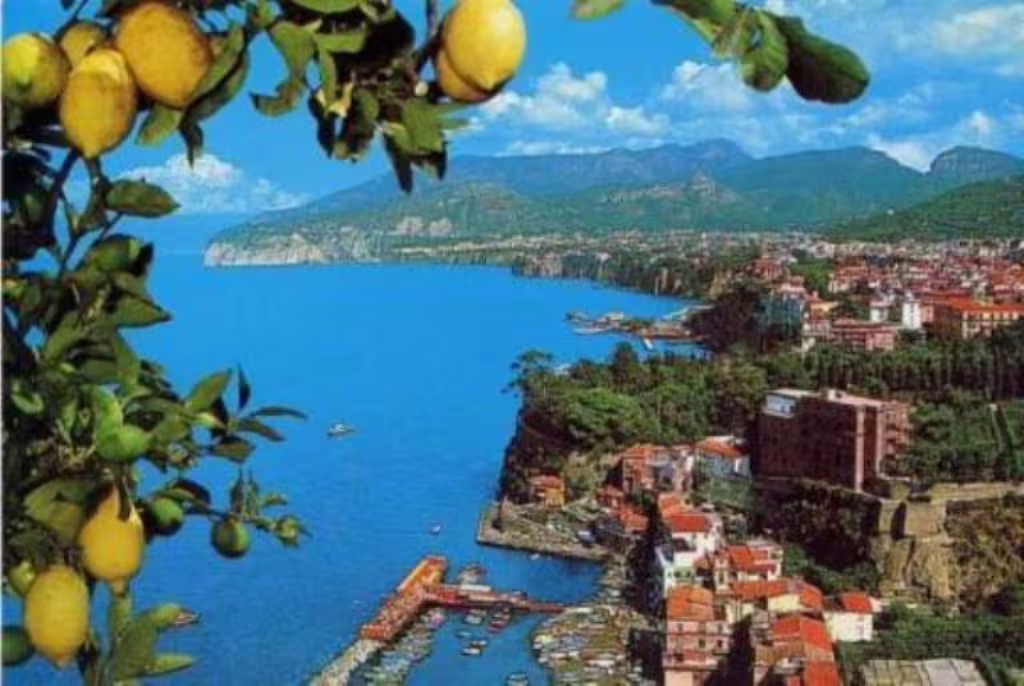 Lemon trees framing Sorrento’s colorful harbor and turquoise sea, highlighting scenic stops on an Amalfi Coast private tour