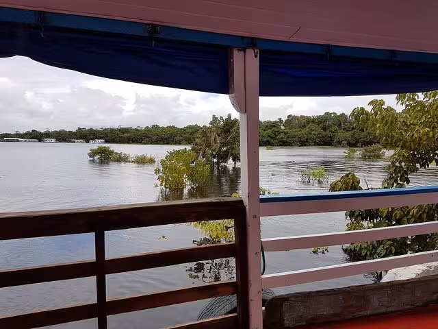 View from Amazon boat deck on the Manaus to Belém cruise, with flooded forest and calm river waters
