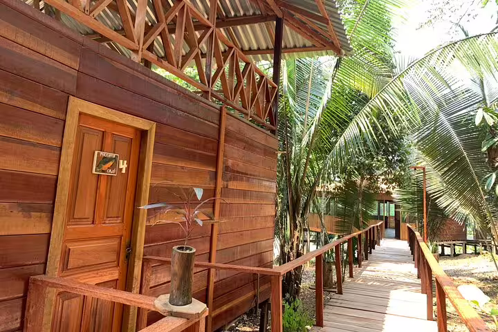 Experience rustic charm at Amazon Mamori Lodge with wooden cabins nestled amidst lush tropical foliage.