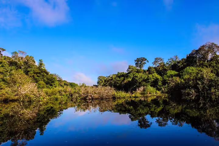 Scenic view of the Amazon Jungle with lush greenery reflecting on calm river waters under a clear blue sky.
