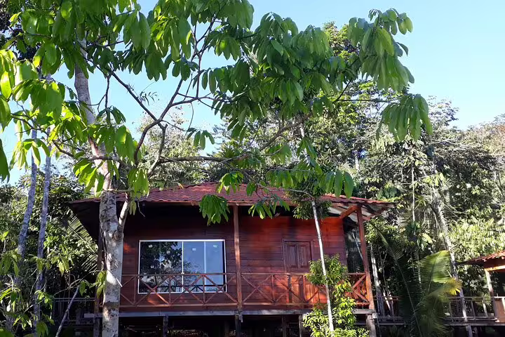 Charming wooden cabin surrounded by dense Amazon jungle greenery at Mamori Lodge, ideal for nature lovers.