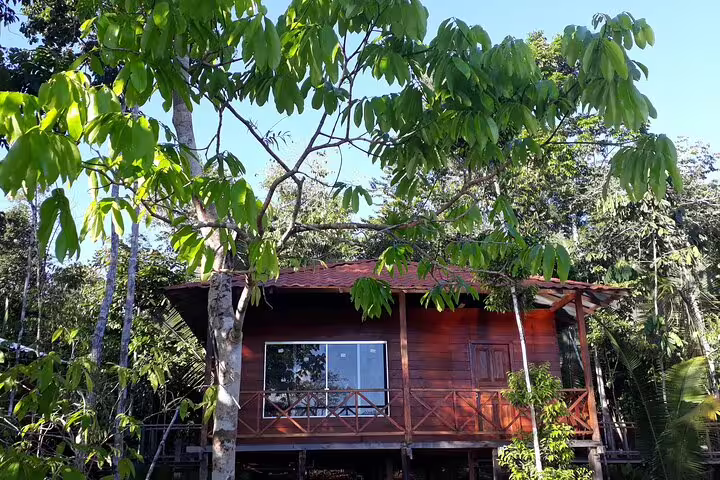 Charming wooden cabin surrounded by lush Amazon rainforest at Mamori Lodge, ideal for an immersive jungle retreat.