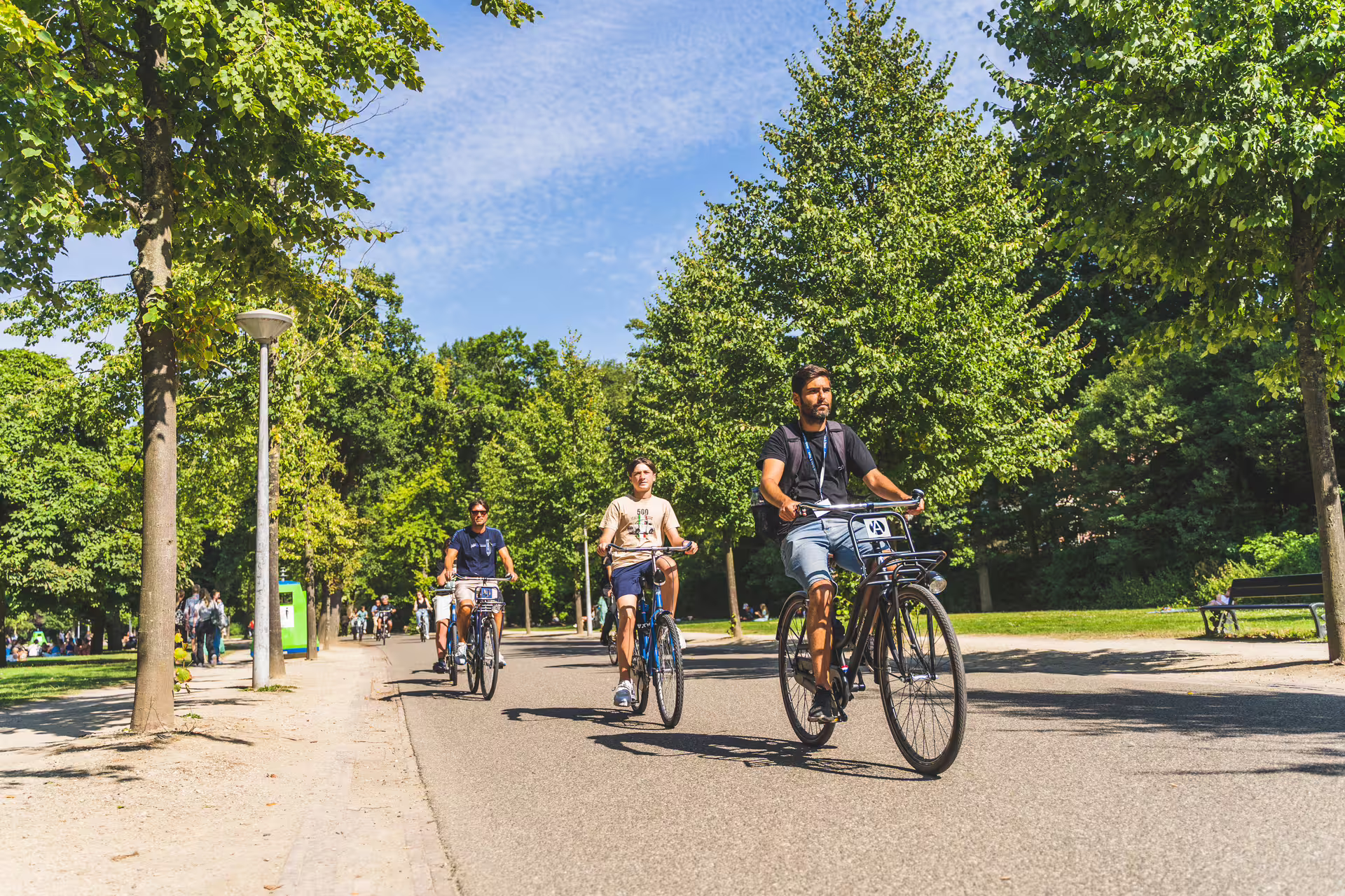 Cyclists enjoy a scenic countryside private bike tour on a sunny day, surrounded by lush green trees and clear blue skies.