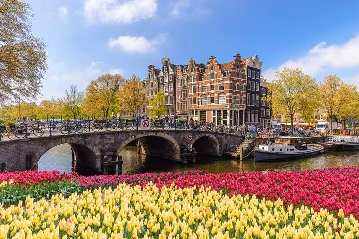 Amsterdam canal bridge with tulip fields in spring, scenic pickup for private transfer from Amsterdam to Schiphol