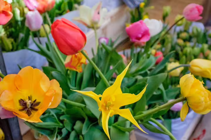 Colorful tulips at Amsterdam flower market, vibrant scene on a private walking tour of famous painters