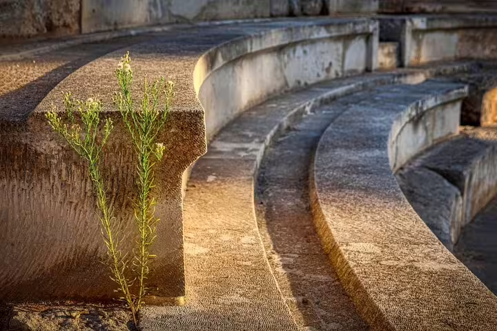 Ancient stone amphitheater steps with wildflowers in Apokoronas, Crete, highlighting cultural heritage on a private tour.