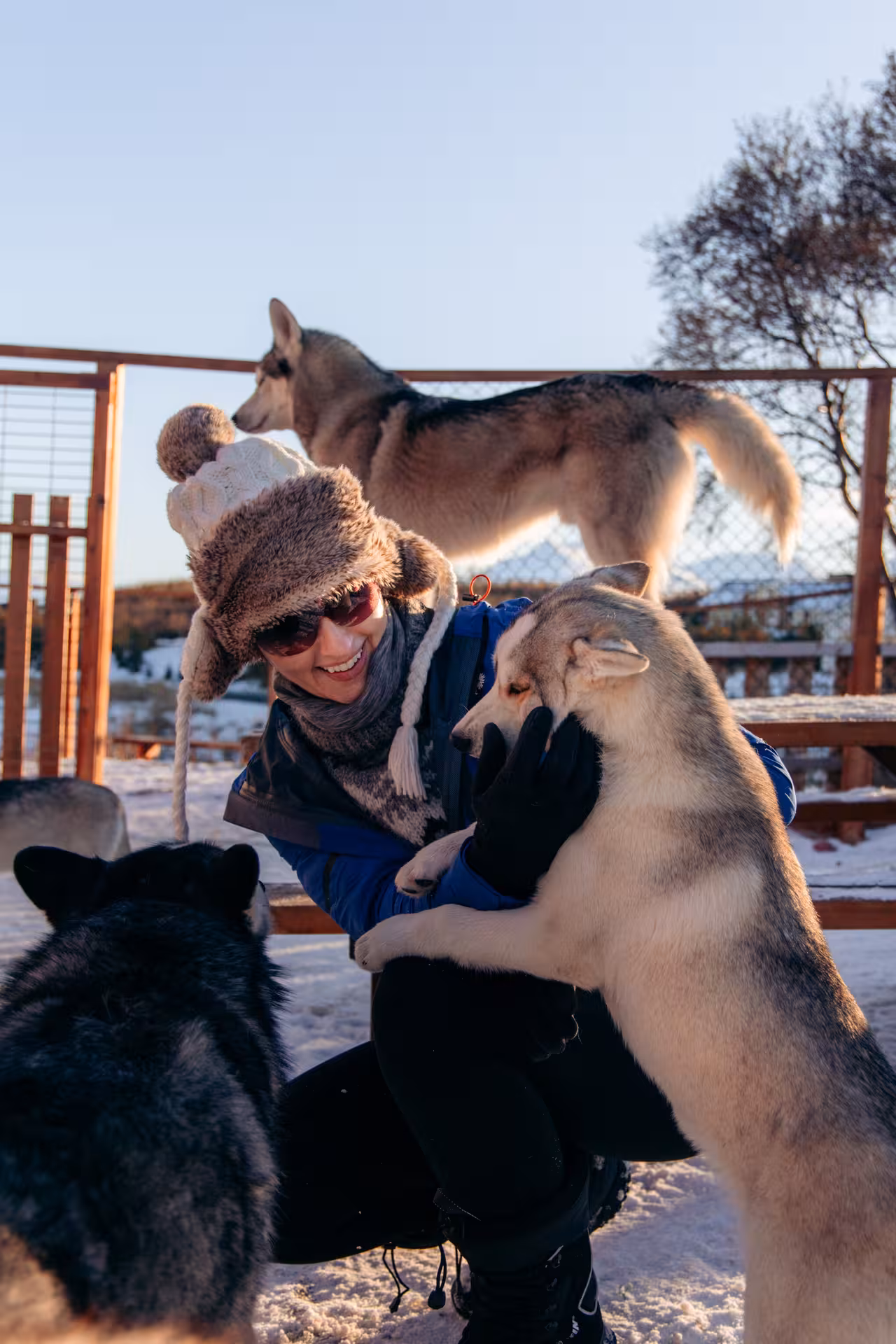 Traveler cuddling friendly huskies at Arctic dog sled camp, a highlight of the Aurora Borealis odyssey tour