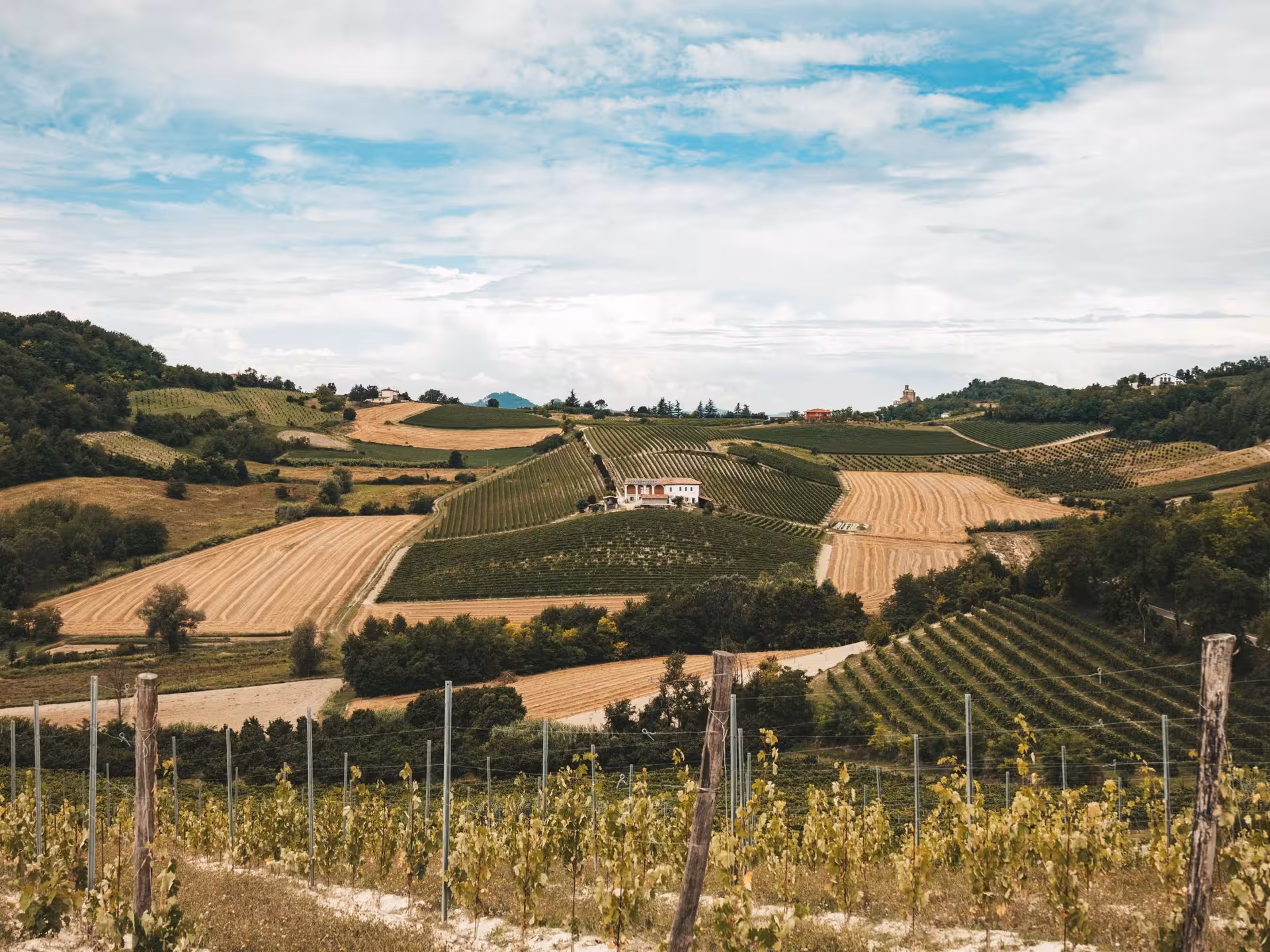 Scenic view of lush vineyards and rolling hills near Asti, perfect for wine tasting tours and countryside exploration.