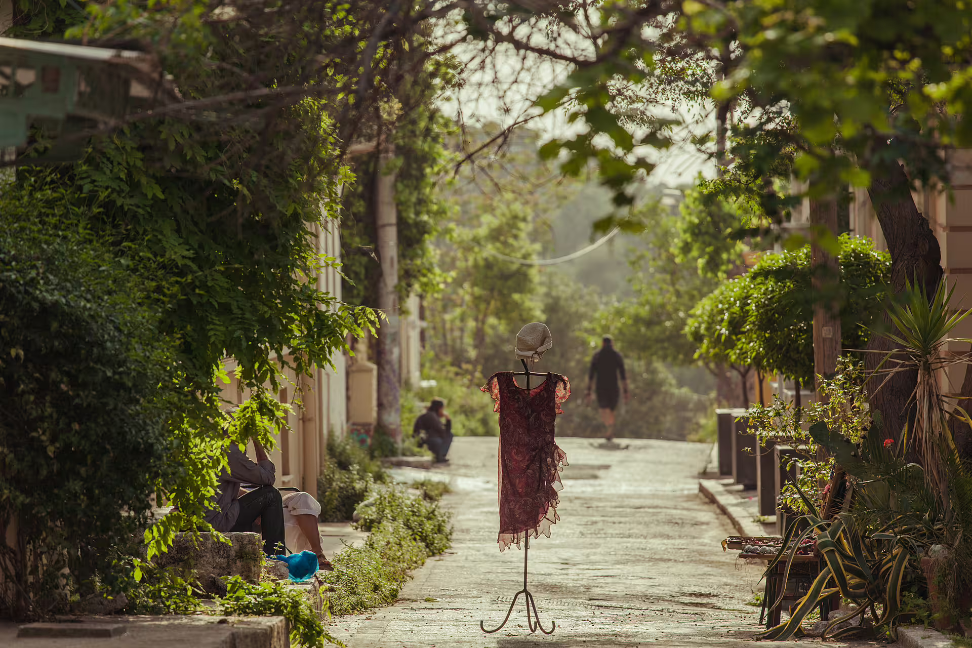 Leafy Plaka street scene in Athens near the Acropolis, ideal for a small group sightseeing walking tour