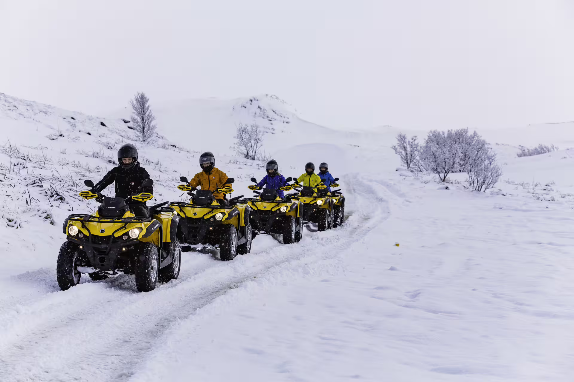 ATV riders explore a snowy landscape, part of an exhilarating ATV and whale watching adventure tour in Iceland.