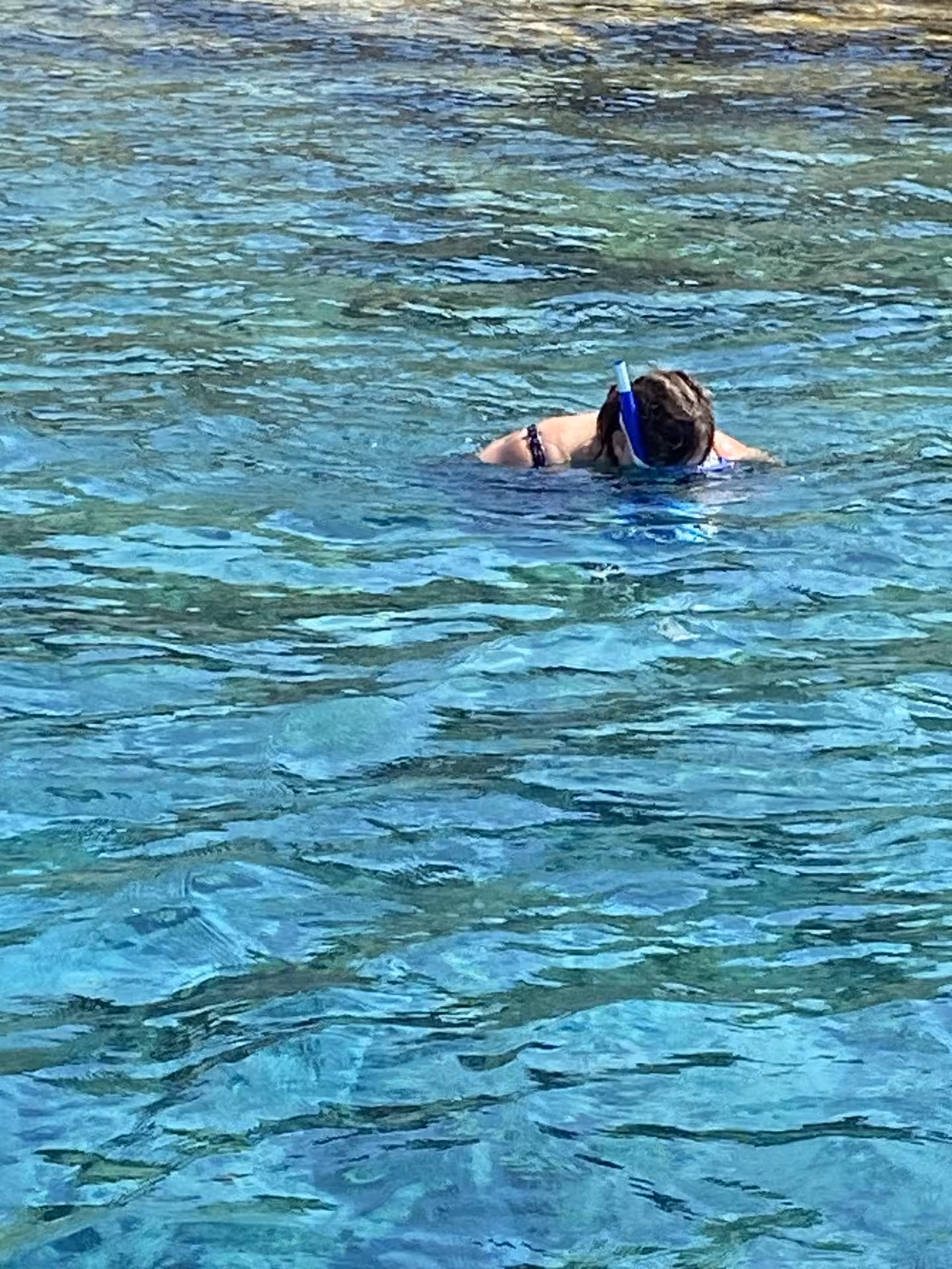 Snorkeler exploring clear Blue Lagoon waters during Discover Blue Lagoon tour on Axopar 25 CT boat