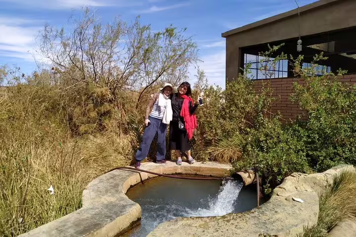Visitors at a natural spring in Bahariya Oasis, part of an overnight White Desert camping tour from Cairo