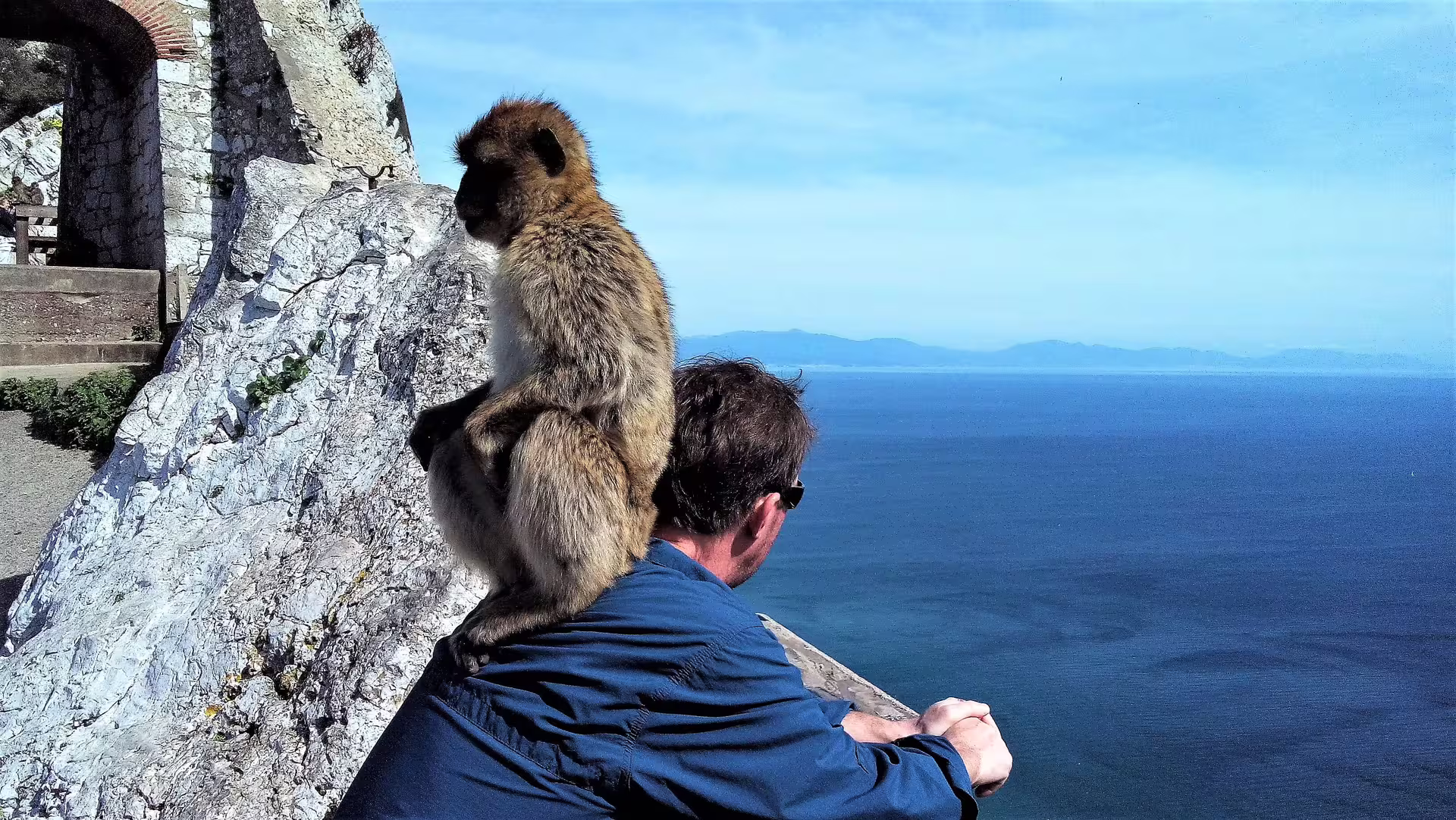 Barbary macaque on a visitor’s shoulder at the Rock of Gibraltar viewpoint, Costa del Sol private tour experience