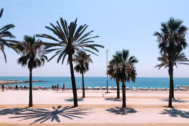 Barcelona beachfront promenade with palm trees and Mediterranean views on a full-day private vehicle city tour