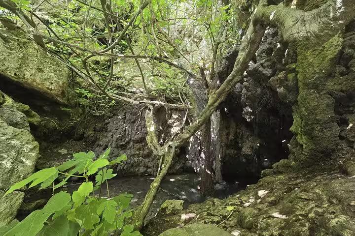 Shaded rocky pool at the Bath of Aphrodite in Akamas, Cyprus, visited on Aphrodite Experience with winery tour