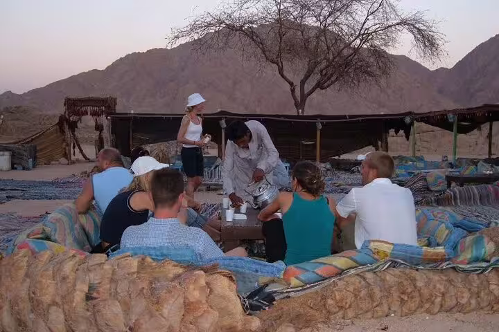 Bedouin desert camp dinner setup in Sharm, guests relax on cushions before show and stargazing tour