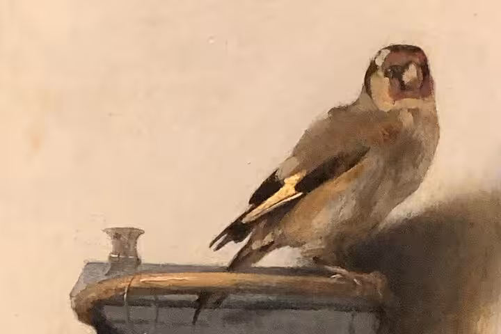 Small bird perched on a wooden rail in Delft, a charming detail seen on a private Rotterdam to Kinderdijk tour