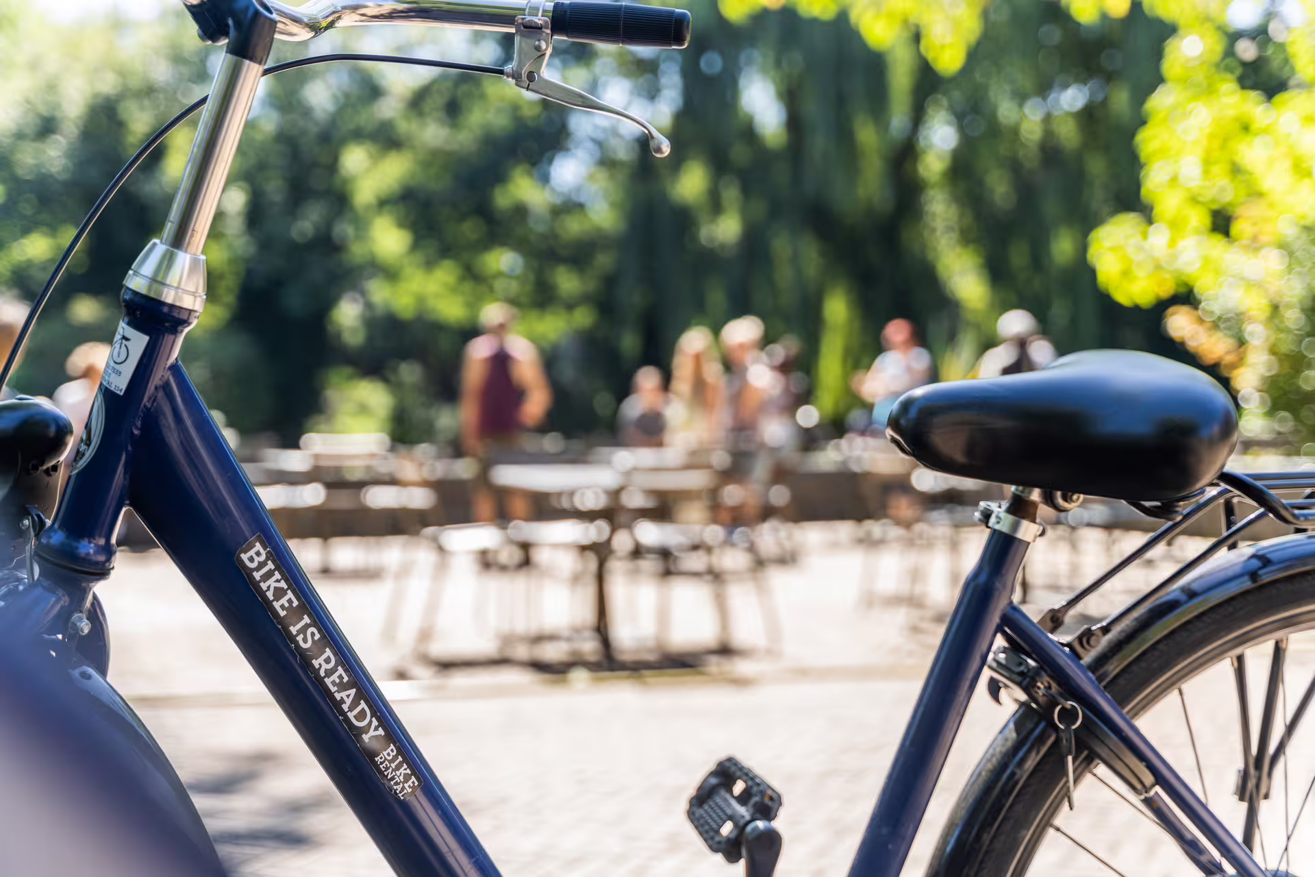 Close-up of a blue bike ready for a countryside private tour, with blurred group of people in a sunny, lush setting.