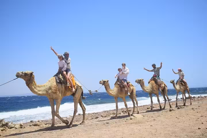 Camel ride along the Red Sea coast on Blue Hole and Super Colored Canyon jeep safari from Sharm El Sheikh