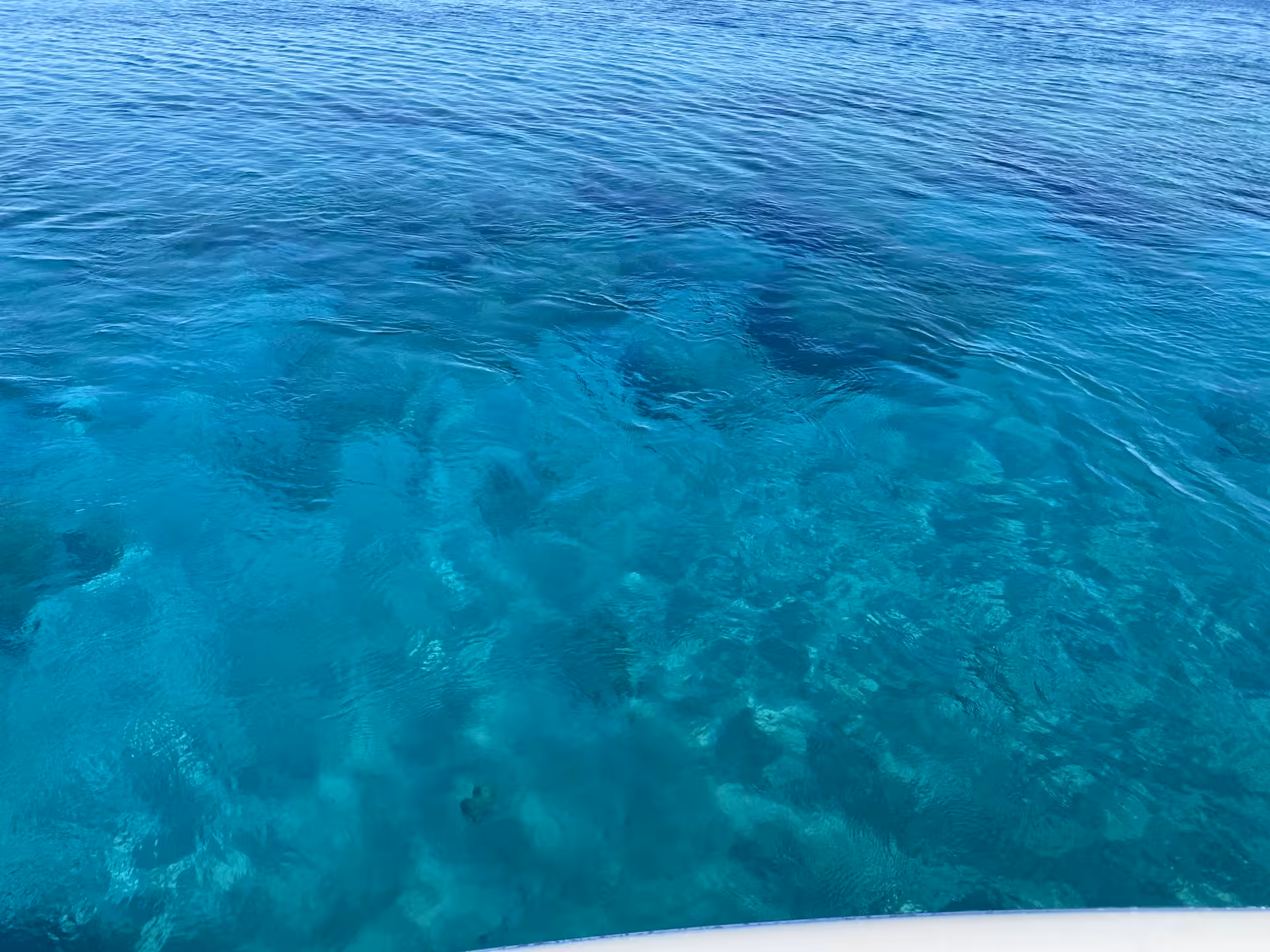 Crystal-clear Blue Lagoon water with visible seabed, viewed from Axopar 25 CT speedboat cruise