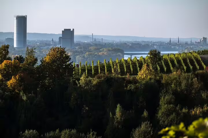Panoramic view over Bonn with vineyards and Rhine valley, ideal scenery for a self-paced e-Scavenger hunt