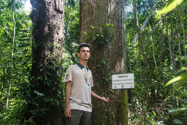 Tour guide explains the diverse flora in the lush Brazilian rainforest during the Brazilian Falls tour.