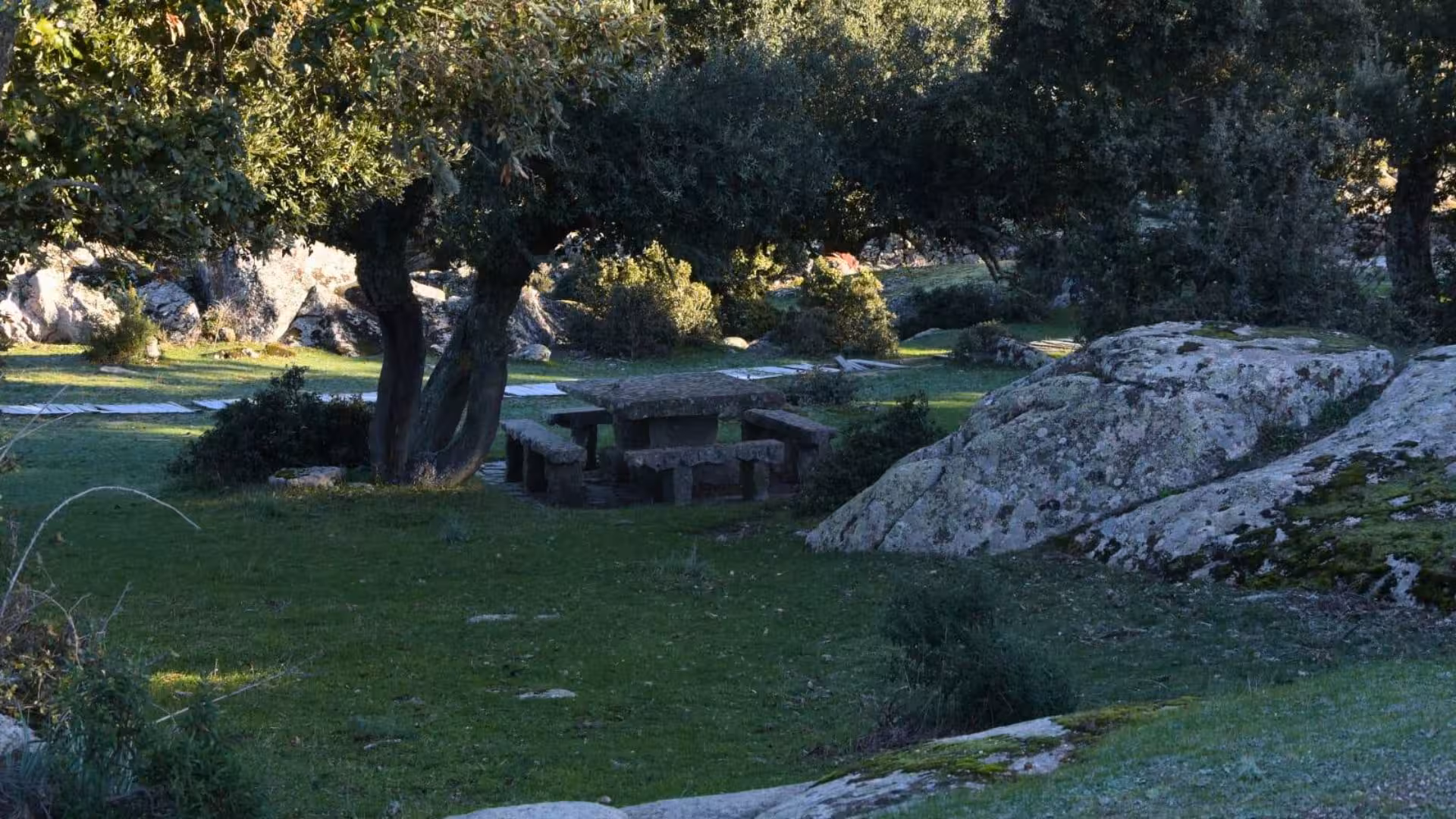 Relax at a shaded picnic area amidst lush greenery at Loelle archaeological site on the Buddusò guided tour.