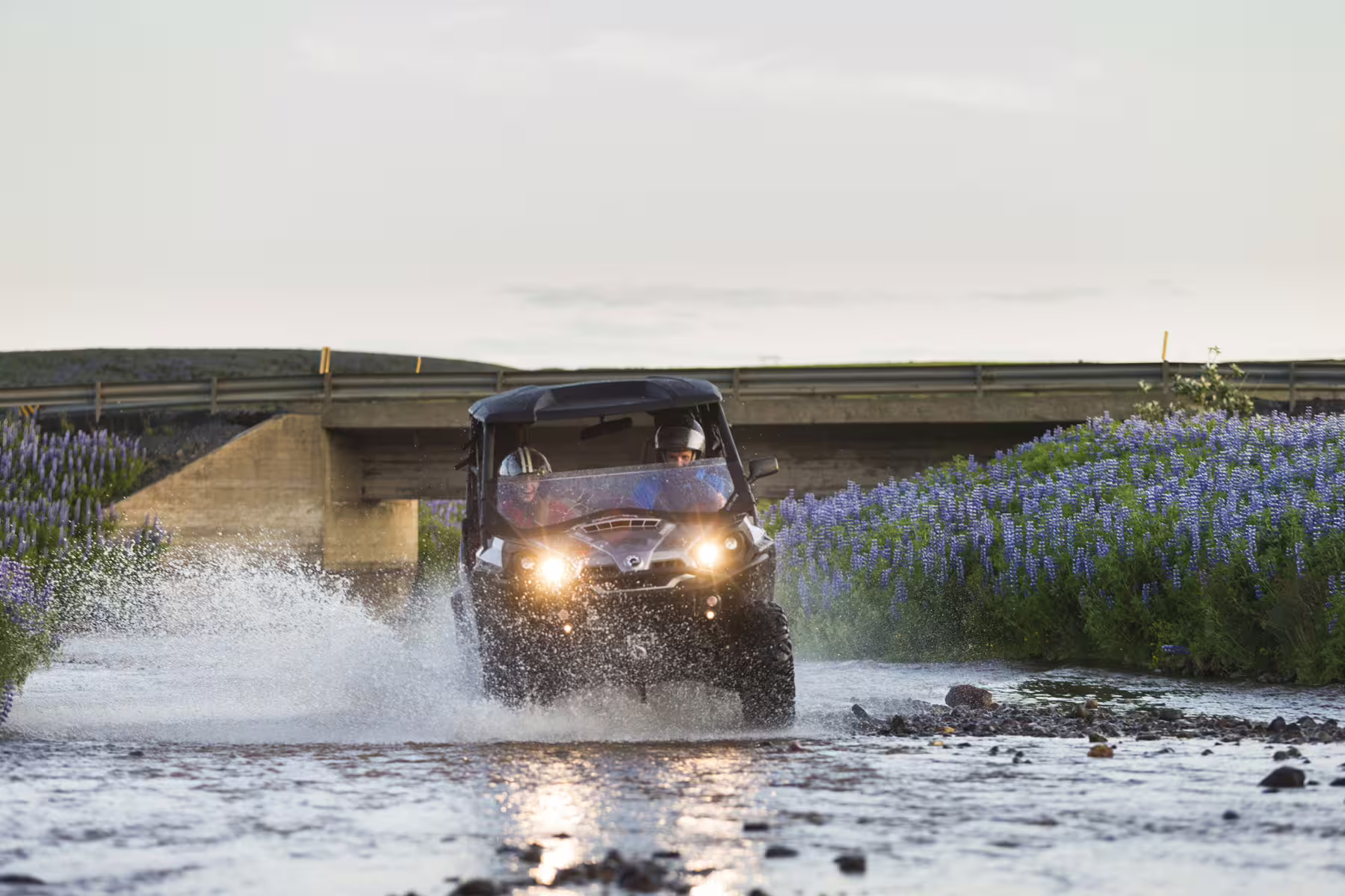 Off-road buggy adventure through a scenic river in Iceland's Golden Circle, surrounded by vibrant lupine flowers and a rustic bridge.