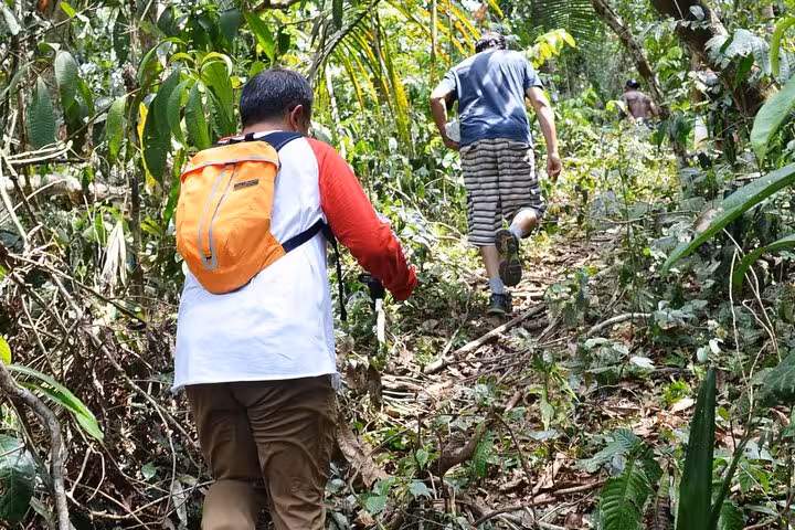 Travelers hike Amazon rainforest trail to reach Tucandeira ants indigenous ritual experience near Manaus