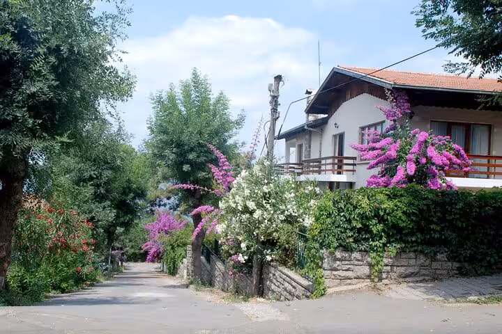 Quiet Büyükada street lined with bougainvillea and villas on Istanbul Princes Islands tour from Istanbul