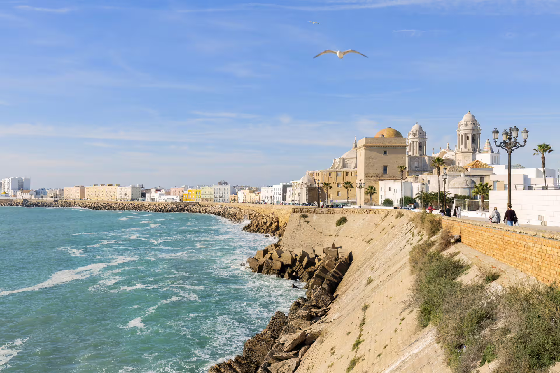 Cadiz seafront promenade by the Cathedral, scenic highlight on a 1-day walking tour with audioguide in 7 languages