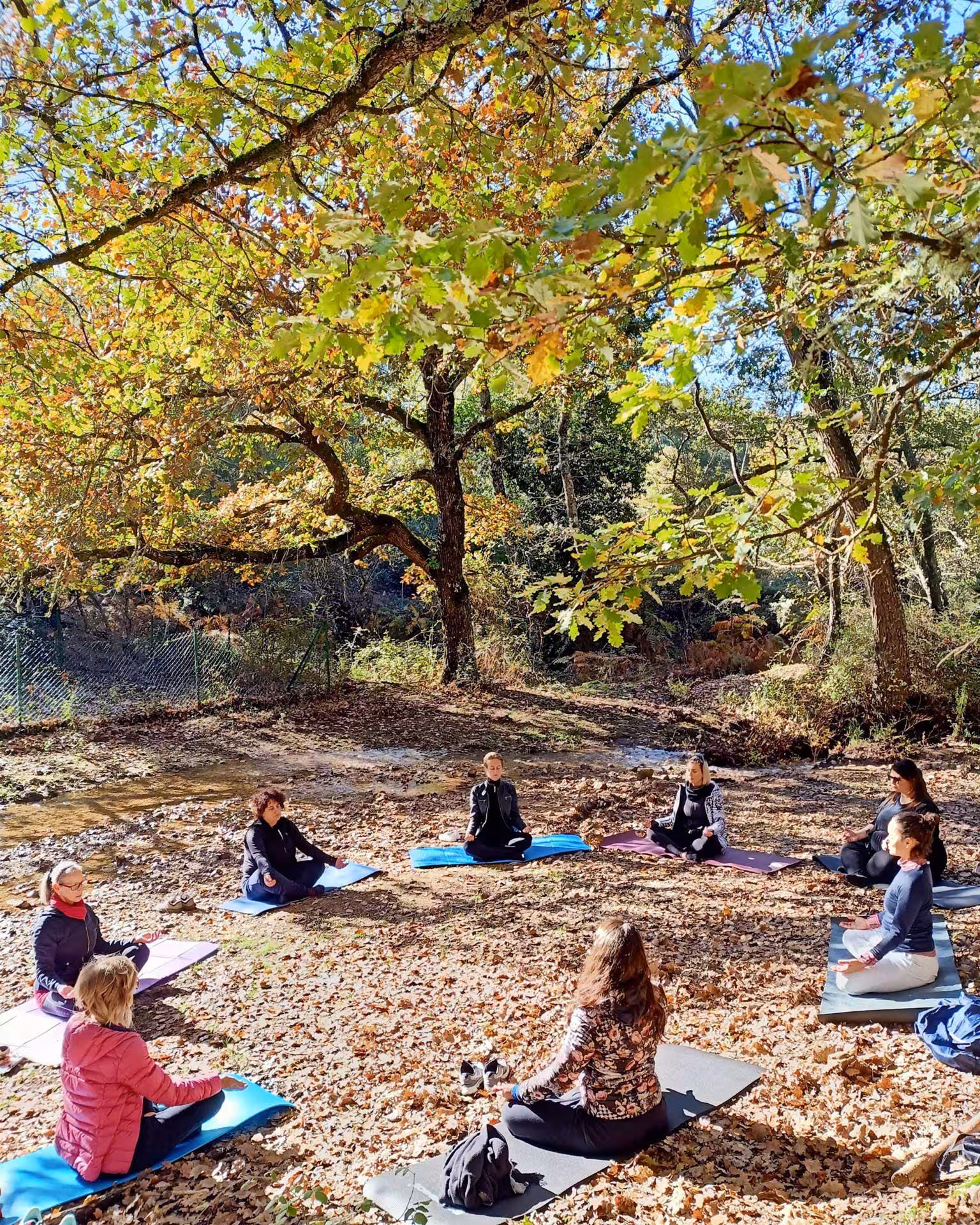 Visitors practicing meditation on mats under vibrant trees at Sette Fratelli Park in Cagliari.