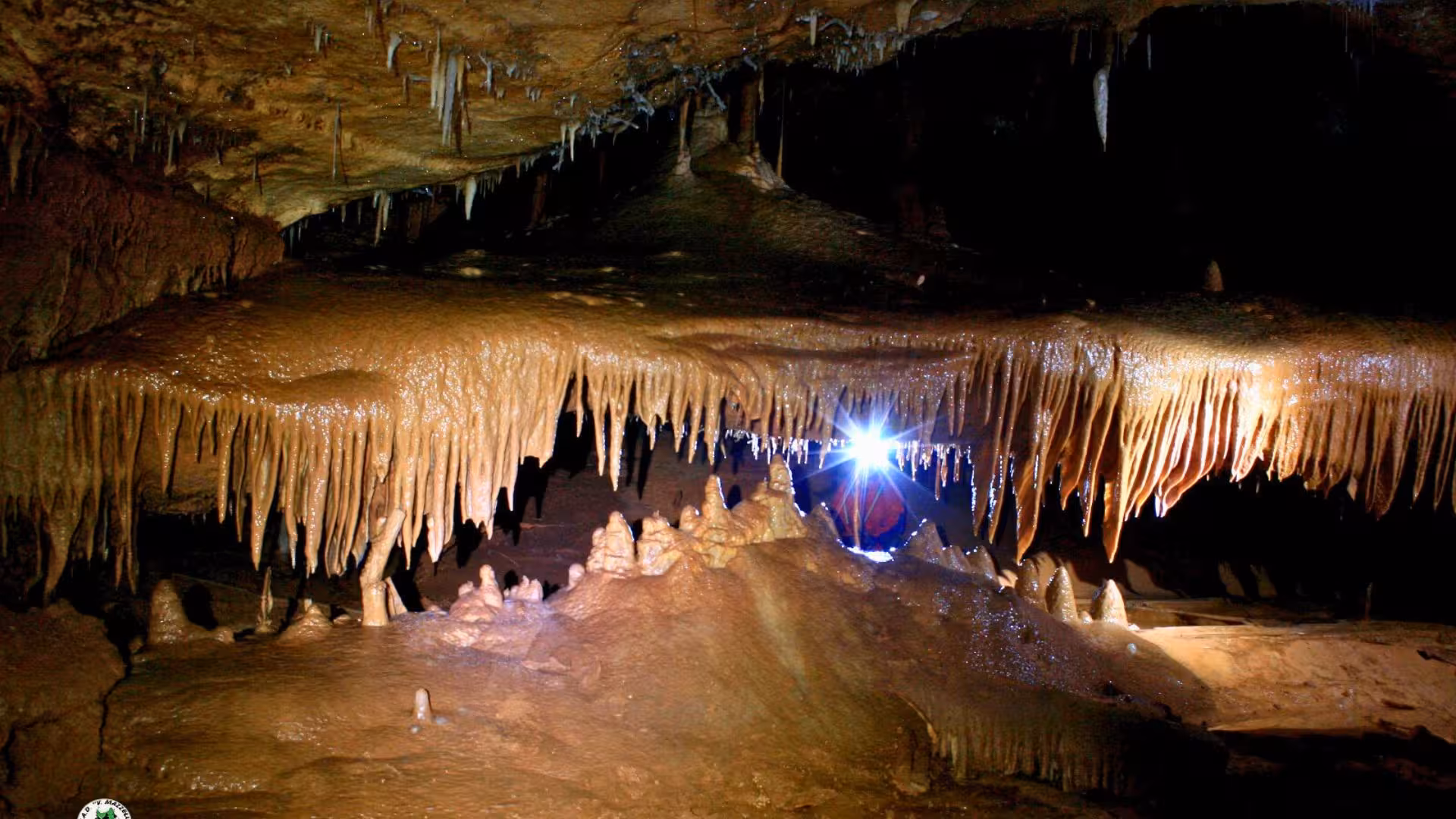 Majestic stalactites illuminated in the Dorgali caves, showcasing natural beauty on a Cala Gonone caving tour.