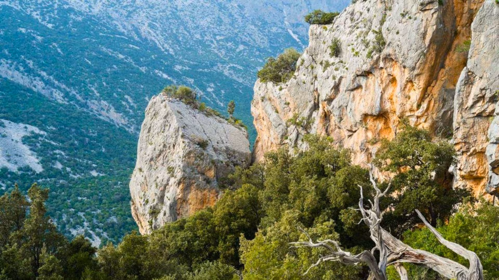 Scenic view of Tiscali's rocky cliffs and lush greenery on a trekking tour from Cala Gonone.