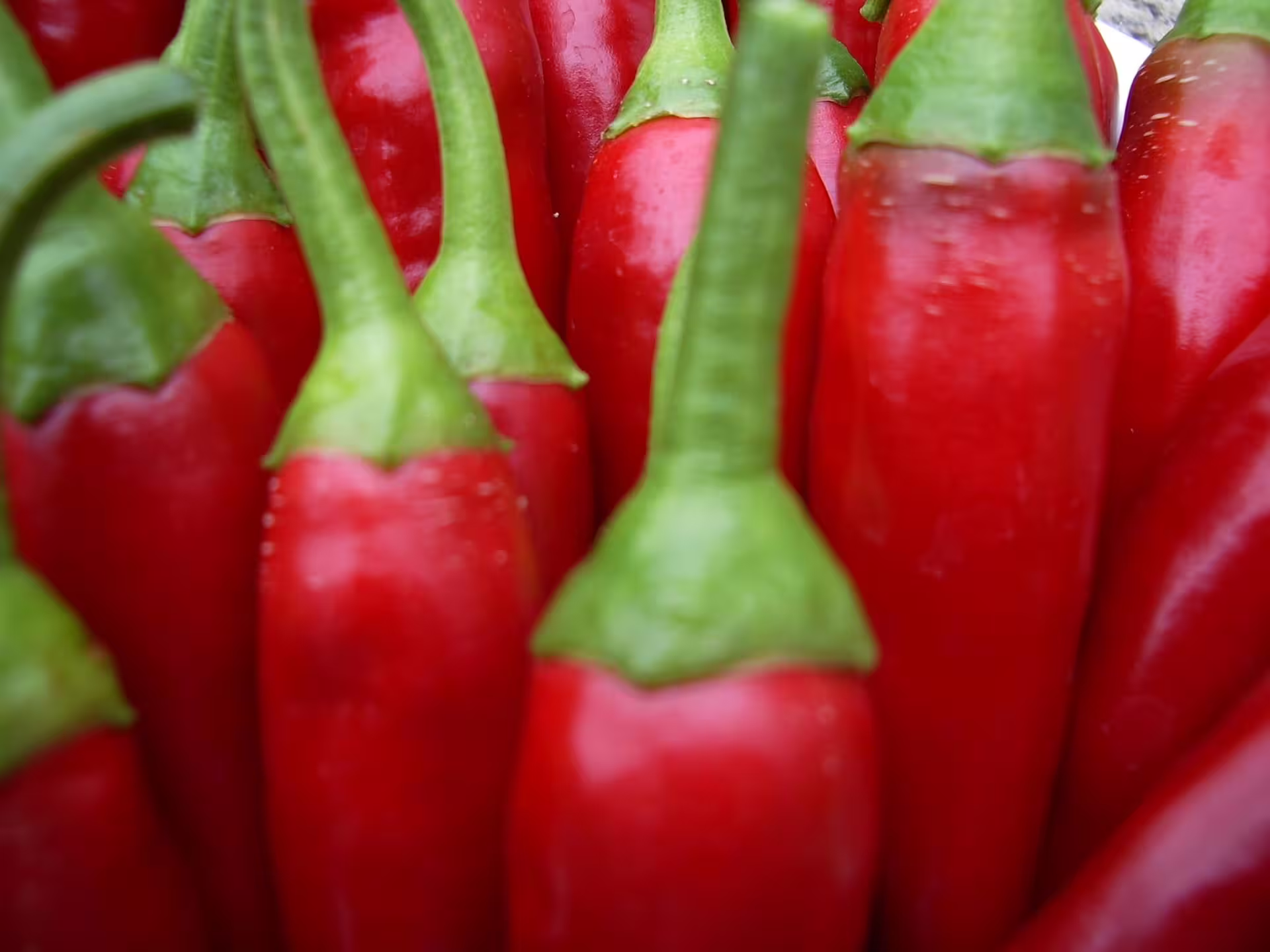 Close-up of fresh red chili peppers at a Calabrian market on the Tyrrhenian Cosentino Belmonte Fiumefreddo Amantea tour