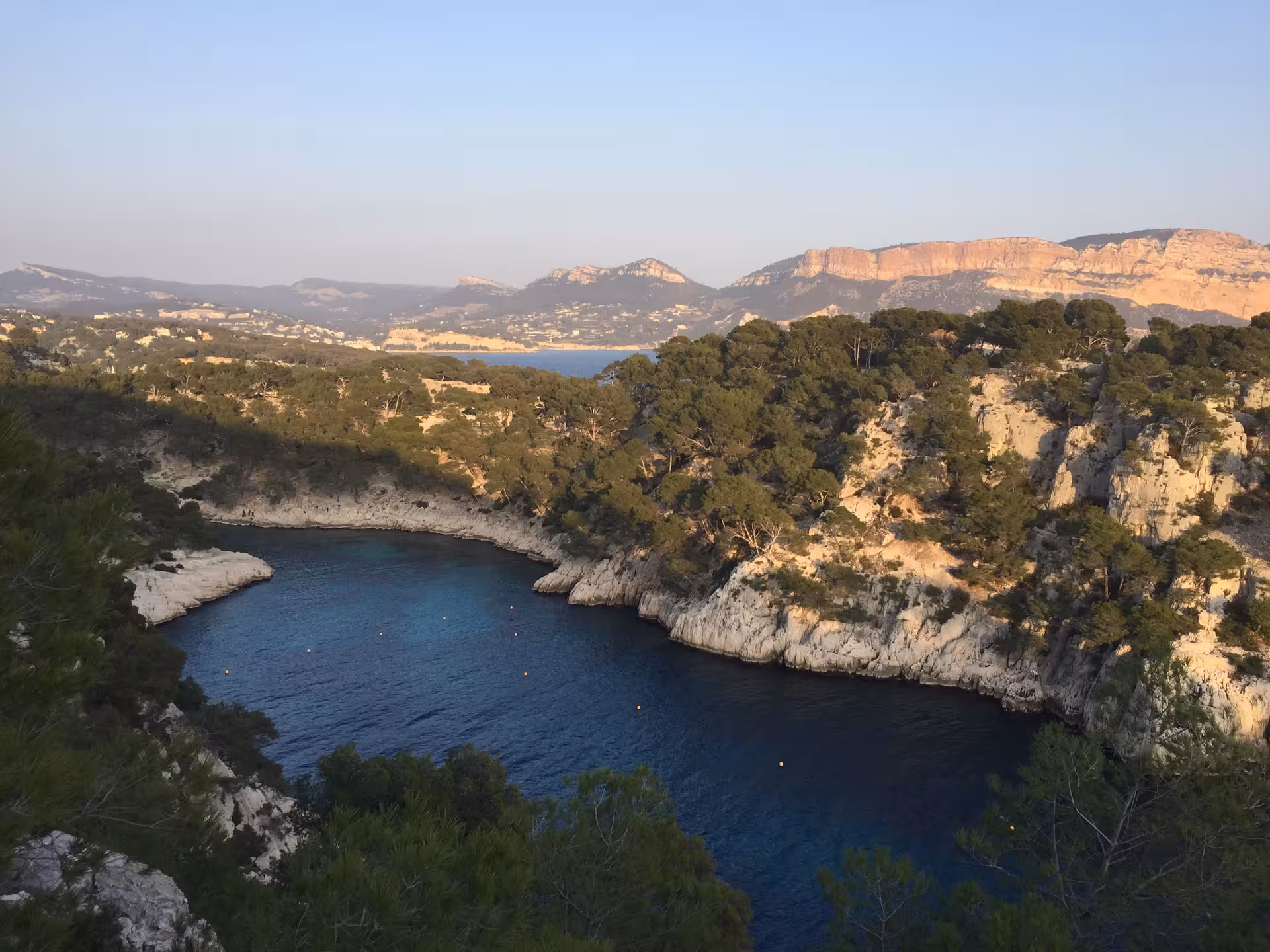 Scenic Calanques bay with pine-covered limestone cliffs and deep blue water, perfect for a 3-day Marseille hike