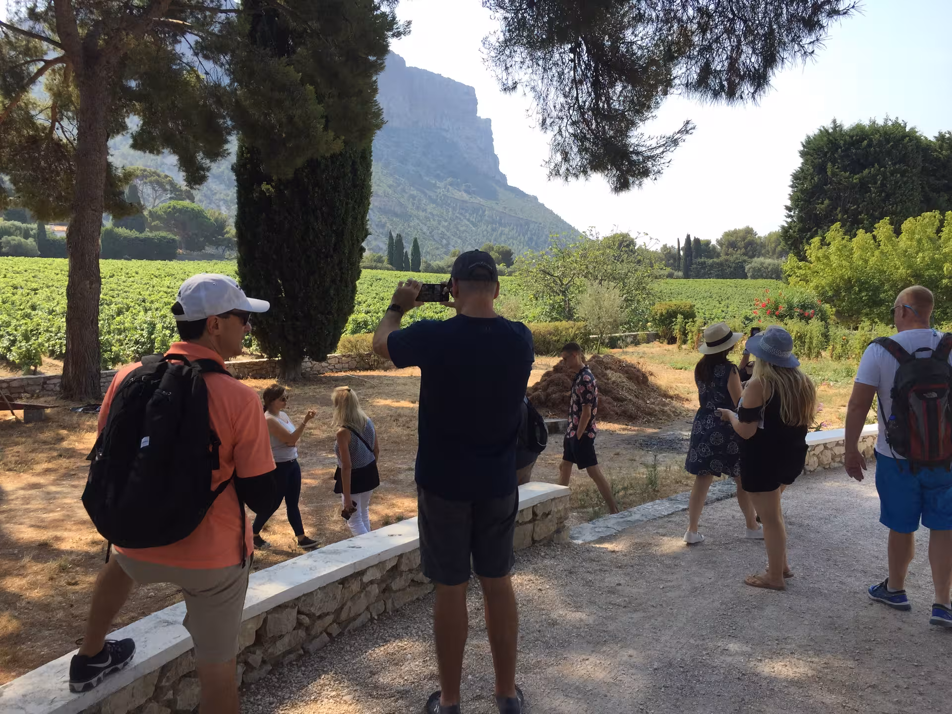 Small group tour in Provence with views of Cap Canaille near Cassis, part of a 3-day Calanques itinerary