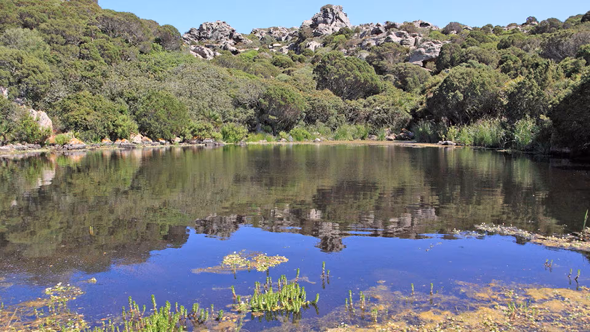 Explore Calasetta's serene natural landscapes with lush greenery and tranquil waters ideal for ebike rentals.