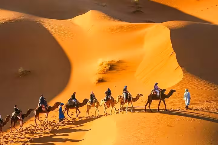 Camel caravan traversing the sunlit dunes of Merzouga, offering an authentic Sahara Desert experience.