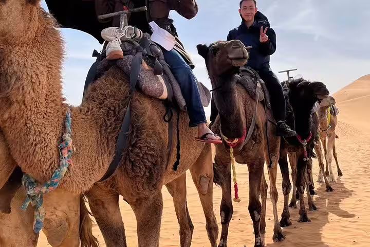 Camel caravan in the Sahara Desert dunes, Merzouga camel trek on a 9-day Morocco tour from Casablanca