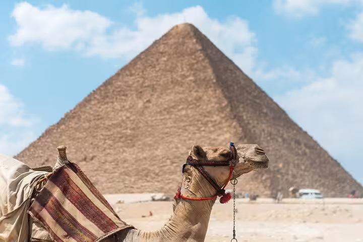 Camel with Giza Pyramid backdrop in Cairo desert, luxury adventure tour to Pyramids, Memphis, Sakkara and Dahshur