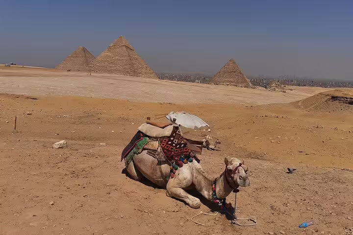 Camel resting in Giza desert with Great Pyramids backdrop, classic Cairo day tour photo stop