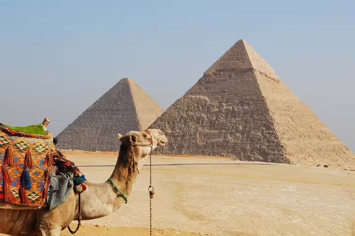 Camel with colorful saddle in front of the Pyramids of Giza, Cairo half-day pyramids tour desert view