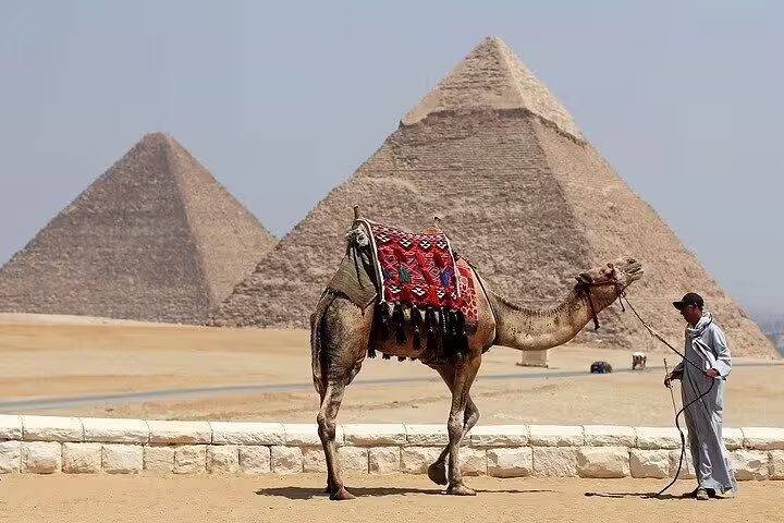 Camel at the Pyramids of Giza on Cairo day tour from Hurghada by semi-private minivan