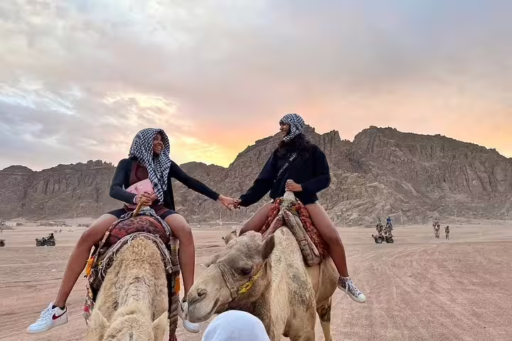 Couple on camel ride in Sinai Desert near Sharm El Sheikh at sunset, combined with ATV quad biking, stargazing and show dinner