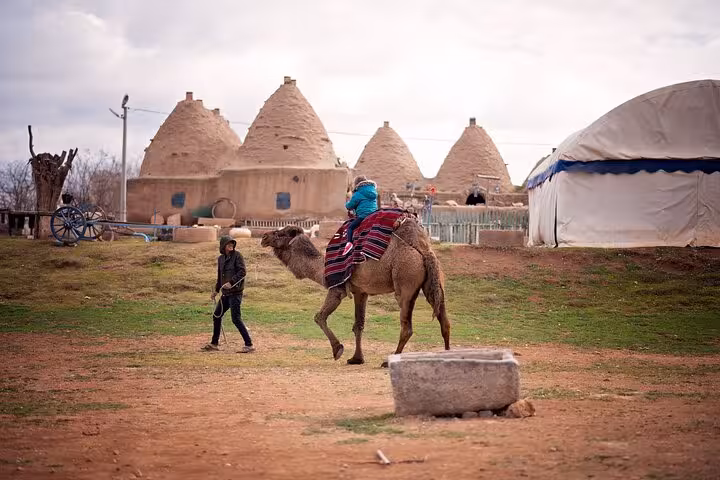 Camel ride in a rural Mesopotamia village near beehive houses, part of an all-inclusive 10-day private guided tour