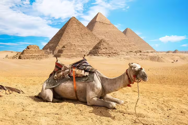 Resting camel with saddle facing the Pyramids of Giza under blue sky, Cairo pyramids tour with photo stop
