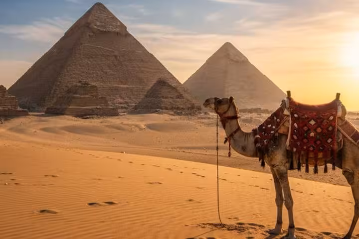 Camel at sunset near the Giza Pyramids on a Hurghada small-group day trip to Cairo and the Grand Egyptian Museum
