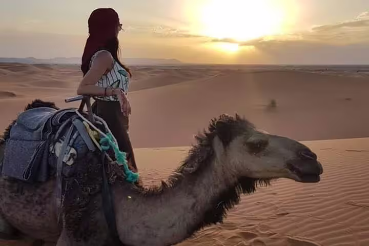 Camel trek at sunset in Sahara dunes on private 6-day desert tour from Casablanca to Marrakech, Morocco